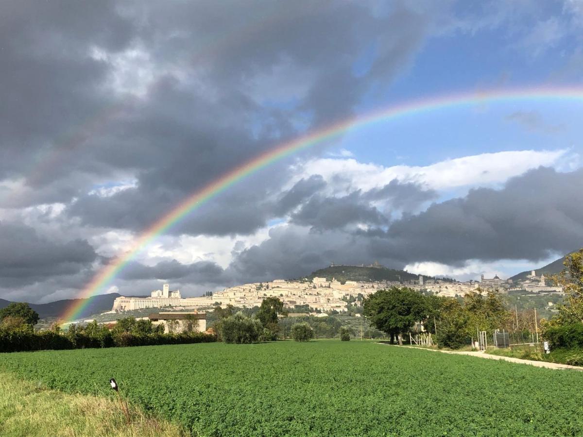 Apartmán La Casa Dell'Artista Assisi Exteriér fotografie