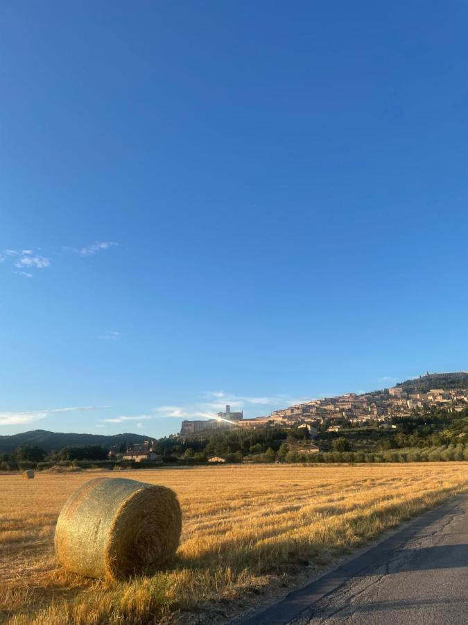 Apartmán La Casa Dell'Artista Assisi Exteriér fotografie