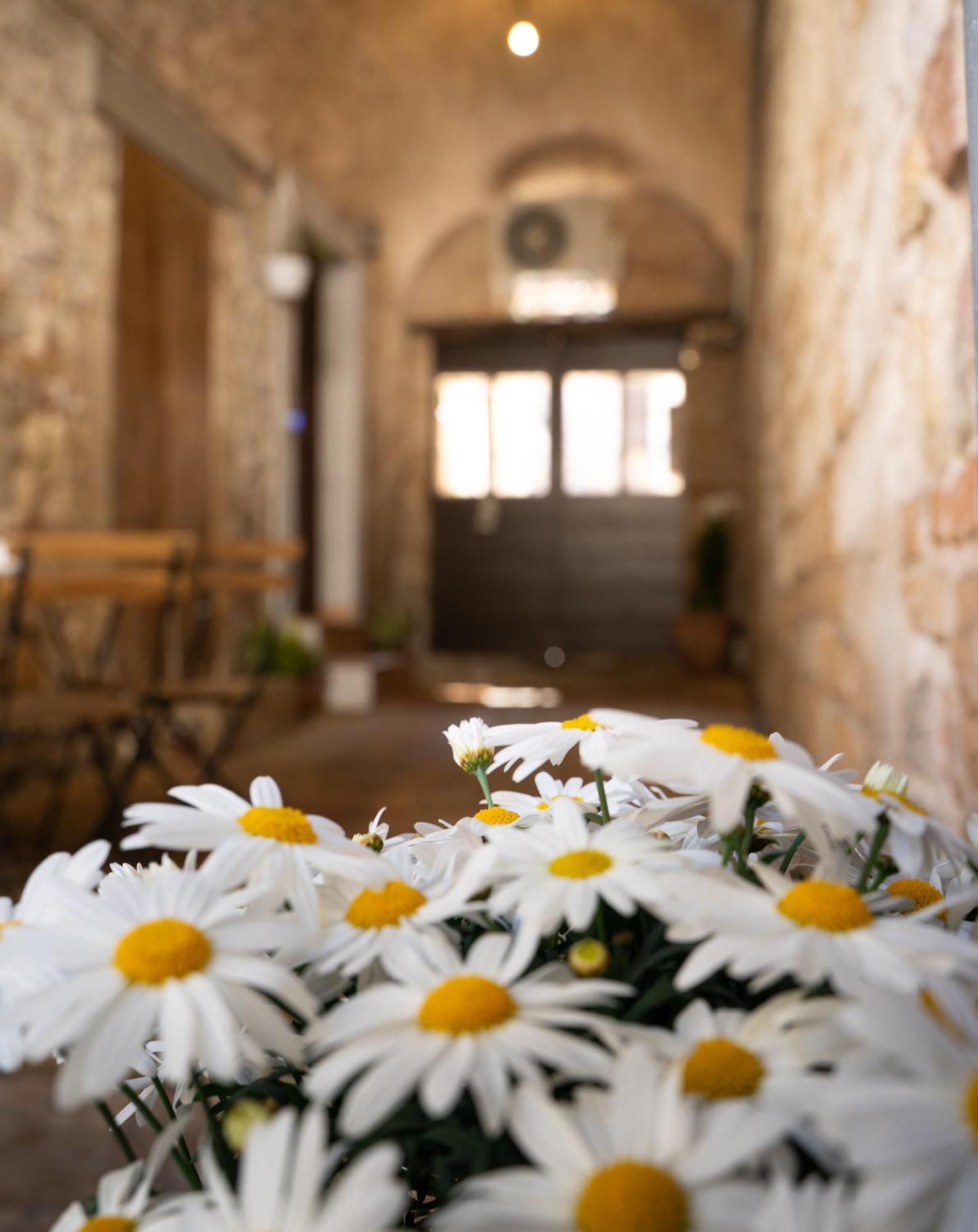 Apartmán La Casa Dell'Artista Assisi Exteriér fotografie